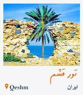 تور قشم