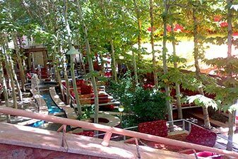 رستوران شاندیز