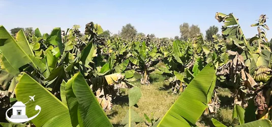 تور بهار چابهار